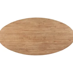 Eettafel Romaro teakhout 200x100 cm ovaal mix rough
