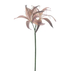 Kunstbloem Varenzo hoya lelie bruin