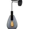 Wandlamp Felinio smoke glas 1-lichts hangend